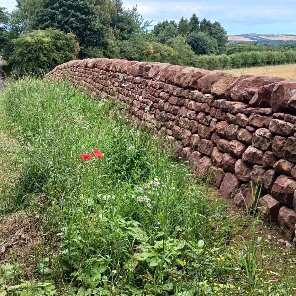 Dry stone wall East Lothian